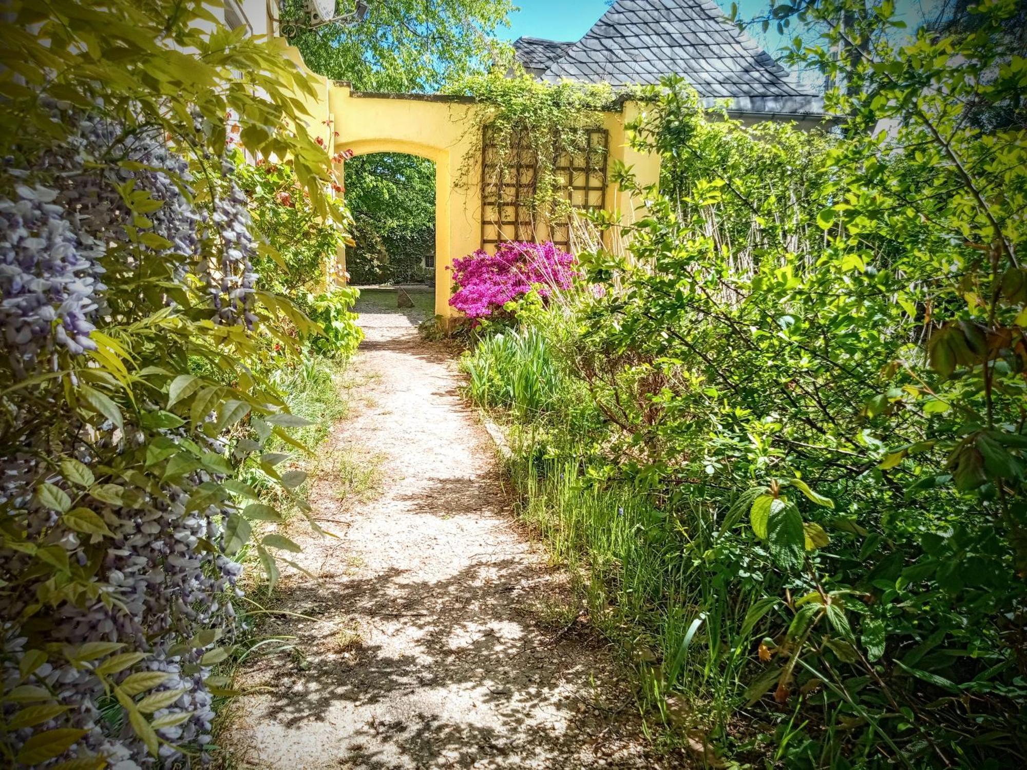 Ferienhaus Dr. Mueller マイセン エクステリア 写真